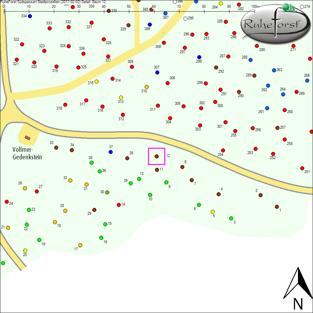 Detailkarte zu Baum 12