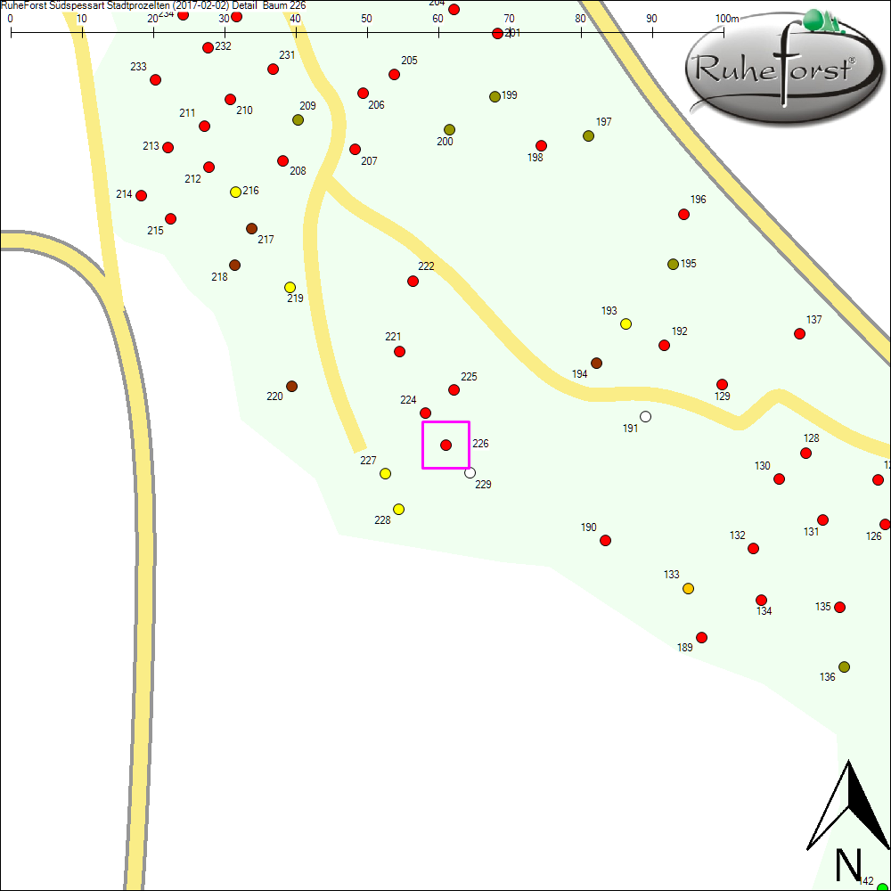 Detailkarte zu Baum 226