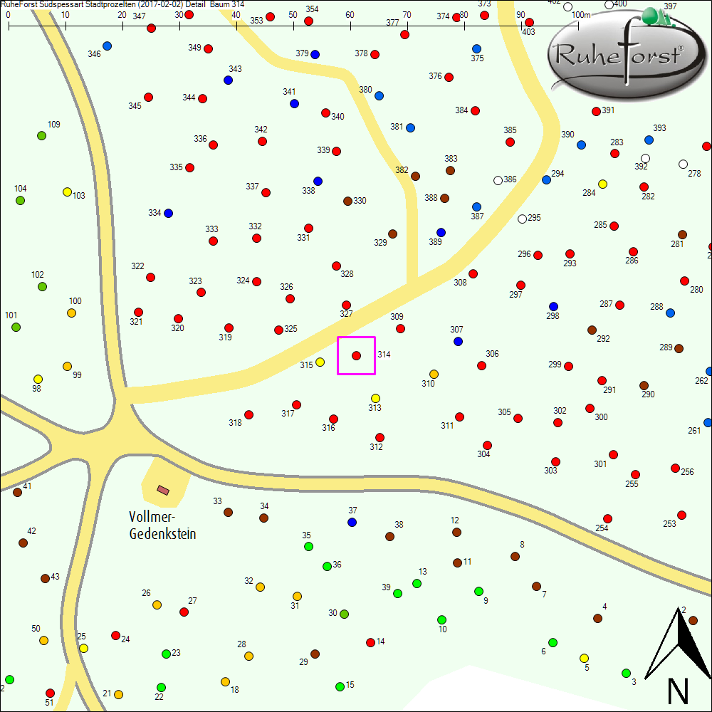 Detailkarte zu Baum 314