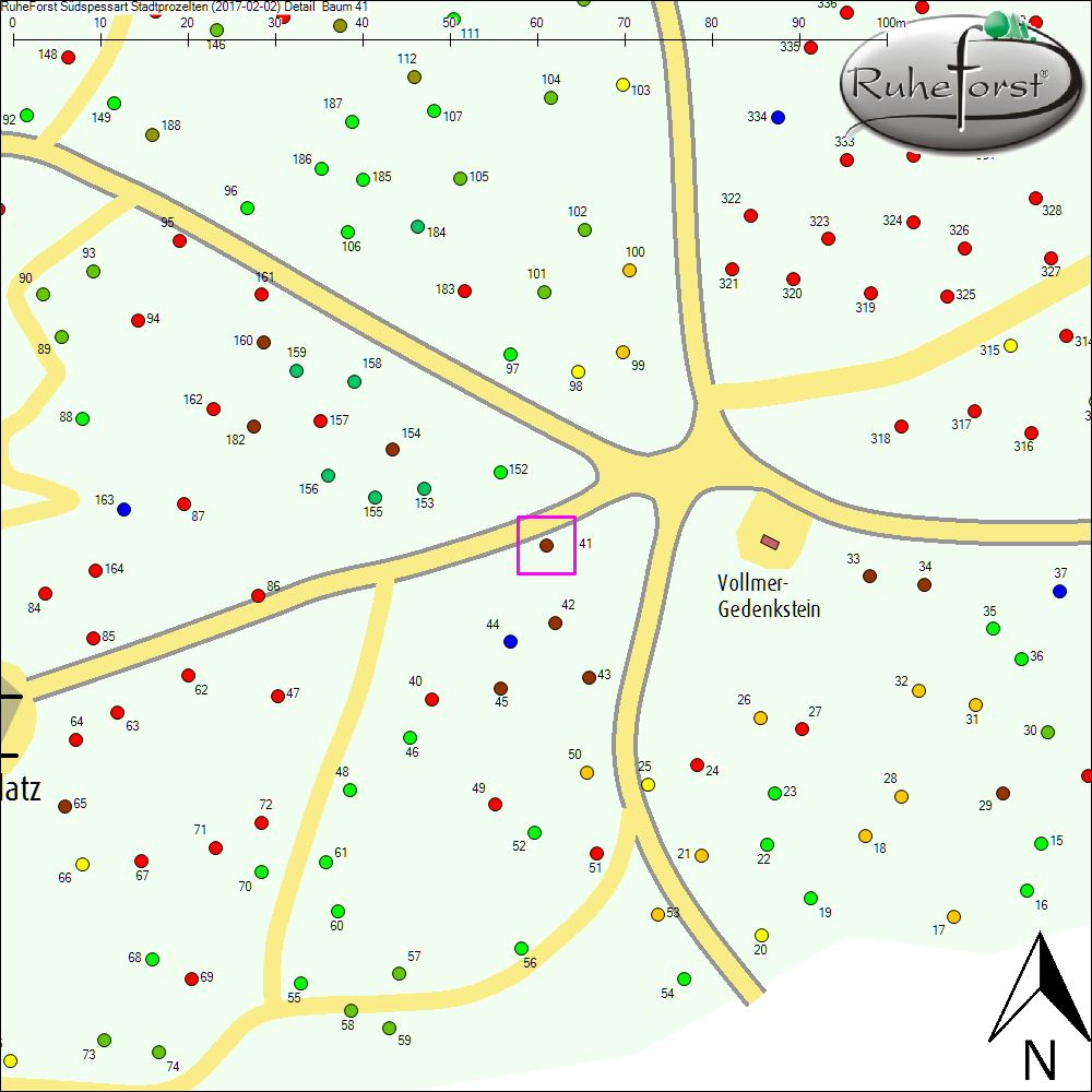 Detailkarte zu Baum 41